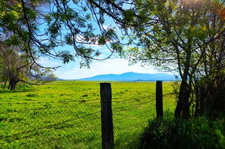Cărarea Mănăstirii - El Escorial, Madrid Cărarea Mănăstirii - El Escorial, Madrid