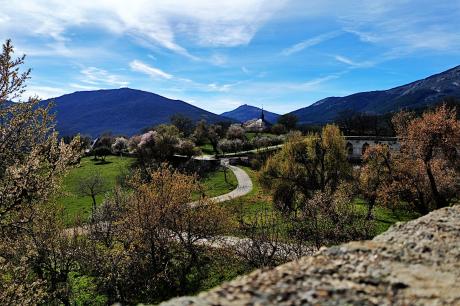 Vedere din grădina mănăstirii El Escorial Vedere din grădina mănăstirii El Escorial