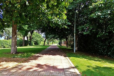 Alee din Collado Villalba Alee din Collado Villalba