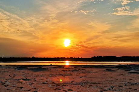 Dupa-amiază caldă pe malul Oltului Dupa-amiază caldă pe malul Oltului