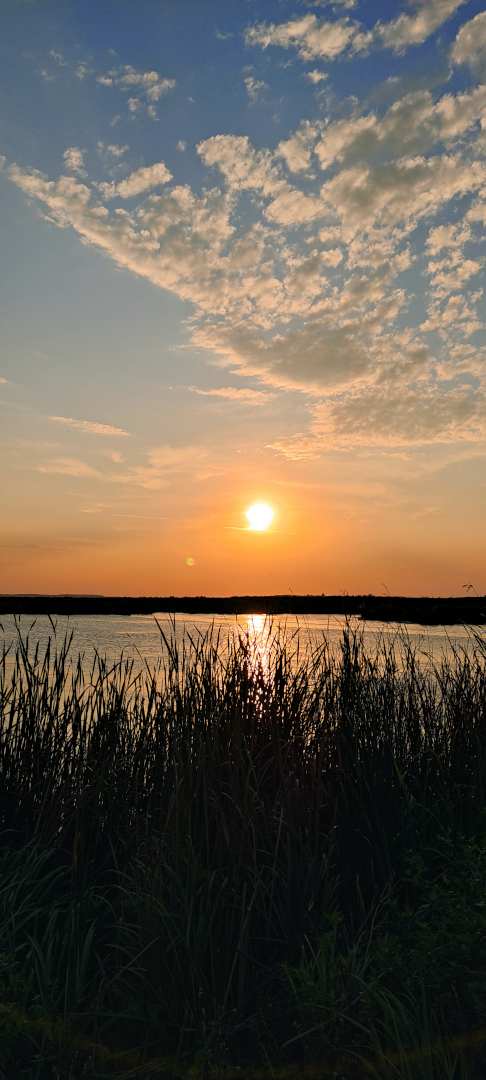 Apus în delta Neajlovului Comana Apus în delta Neajlovului Comana
