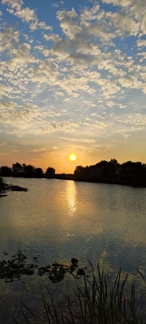 Apus în delta Neajlovului Comana Apus în delta Neajlovului Comana