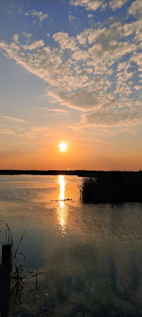 apus delta Neajlov apus delta Neajlov