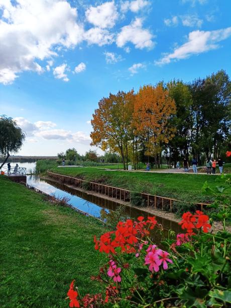 Parcul Comana Parcul Comana