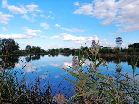 Parcul Comana Parcul Comana