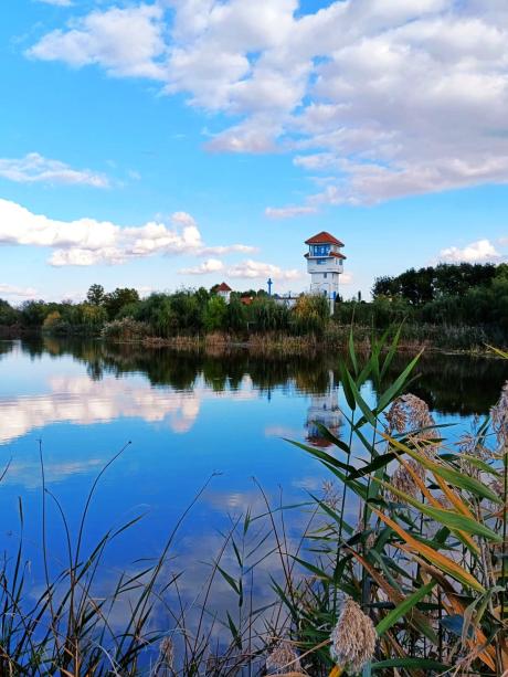 Parcul Comana Parcul Comana