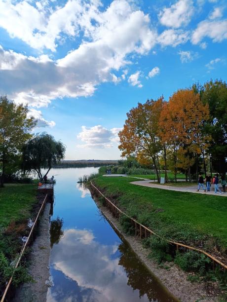 Parcul Comana Parcul Comana