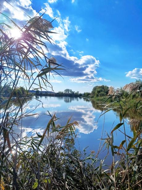 Parcul Comana Parcul Comana