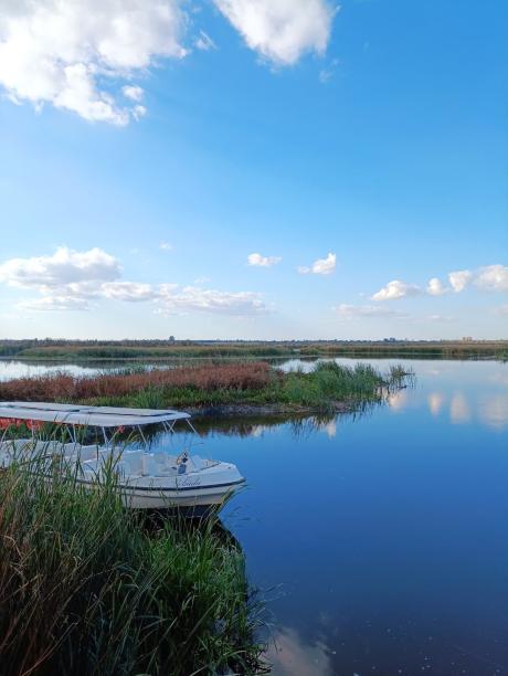 Parcul Comana Parcul Comana