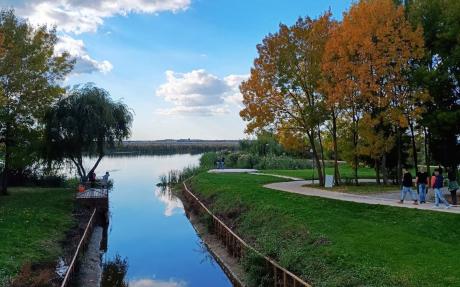 Parcul Comana Parcul Comana