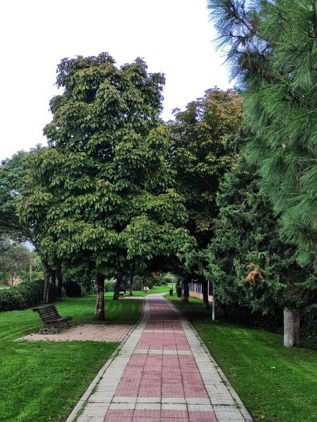 Alee din Collado Villalba Alee din Collado Villalba